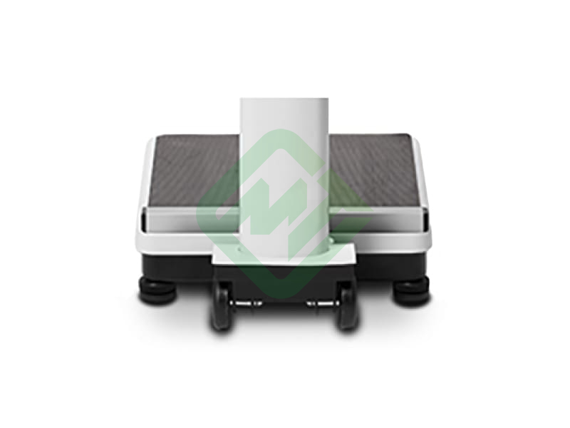 Весы медицинские Seca 769, с поверкой